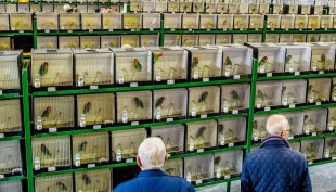 in-zwolle.jpg (101.78 КБ) 36061 просмотр WK in Zwolle<br />© nieuws.nl