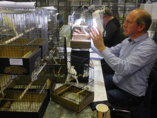 49521042_1973820555986987_3527658297509281792_o.jpg (442.83 КБ) 36109 просмотров ZWOLLE 2019<br />© Bart Braam