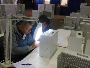 49619826_1973820539320322_1229737973948350464_o.jpg (346.98 КБ) 36052 просмотра ZWOLLE 2019<br />© Bart Braam