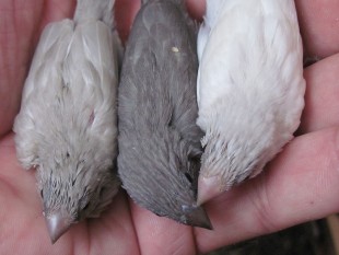 Изображение 818.jpg