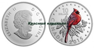 10-Красный-кардинал.jpg