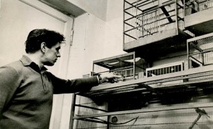 Возле птиц.jpg (61.08 КБ) 8683 просмотра Никонов рядом с птицами