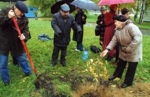 Посадка дуба.jpg (55.83 КБ) 12173 просмотра Антонина Александровна и литераторы города высаживают дубок на месте дома Никоновых, 2006 год.