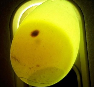 20210210_221221.jpg (58.77 КБ) 69067 просмотров 20210210_221221.jpg