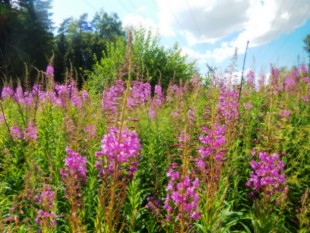 видите линии схода? - встретимся там!