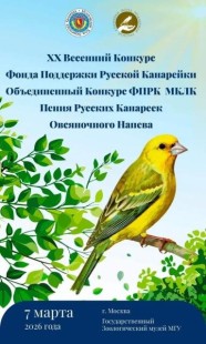 конкурс 2026.jpg