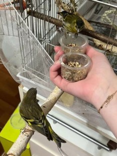 Screenshot_20260318_184832_Yandex Browser.jpg