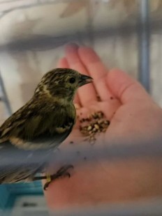 Screenshot_20260318_184926_Yandex Browser.jpg