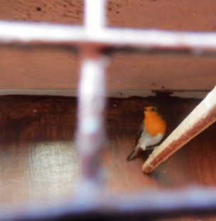 а эта - моя главная!<br />...