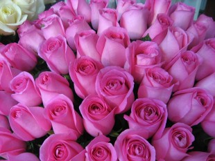 С Днём Рождения.jpg