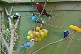 &quot;Мужское общежитие&quot;