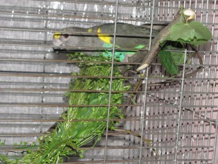 Изображение 571.jpg