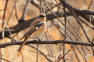 © Василий Федоренко