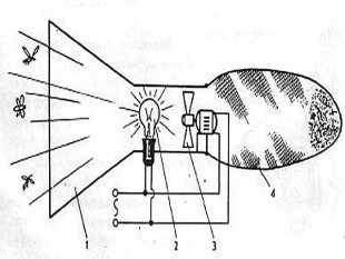 ловушка-насекомых11.jpg (64.68 КБ) 23173 просмотра Рис.1