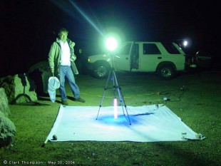 ловушка-насекомых6.jpg (56.52 КБ) 23173 просмотра ©Clark Thompson