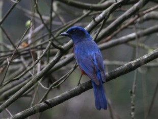 201045380997.jpg (119.07 КБ) 104787 просмотров ©Jerry