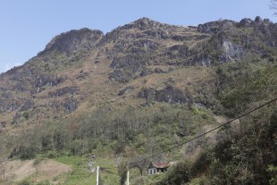 IMG_3808.JPG (431.11 КБ) 104771 просмотр Характерный биотоп птицы.