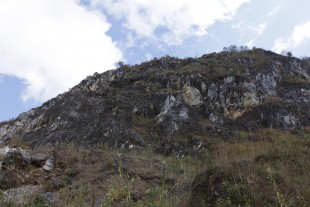 IMG_3810.JPG (245.44 КБ) 104771 просмотр Характерный биотоп птицы.