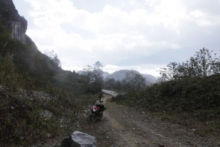 IMG_3813.JPG (283.25 КБ) 104771 просмотр Характерный биотоп птицы.