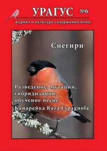 Обложка первой части.jpg (248.58 КБ) 33547 просмотров Первая часть шестого номера<br />.