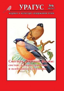 Обложка второй части.jpg (273.88 КБ) 33547 просмотров Вторая часть шестого номера <br />со статьей Вадима Ивушкина
