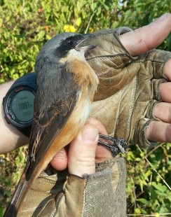 Провинция Юннань,конец октября.