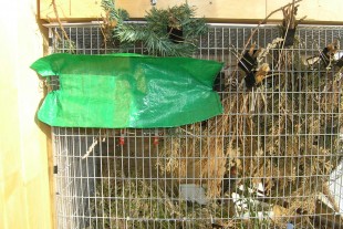 P7290002-G.jpg (299.89 КБ) 22364 просмотра Фото гнезда в нижнем садке