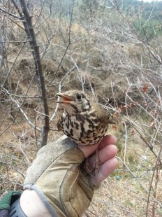 image-f7c66a8e0162a85cf1455c4b2d017575d59b491649b29902a89467526b5d1e43-V (1).jpg