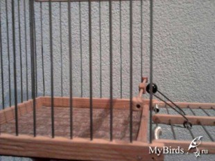 Боек-15.jpg (41.25 КБ) 9830 просмотров фото © красношапочный