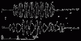 Осциллограммы-вариантов-вес.gif (20.38 КБ) 21218 просмотров Осциллограммы вариантов весенней песни<br /> большой синицы (Parus major) исполняемых <br />одним и тем же самцом