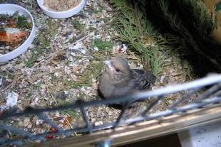 P7310005--1.jpg (536 КБ) 11448 просмотров 31.07.2018г.