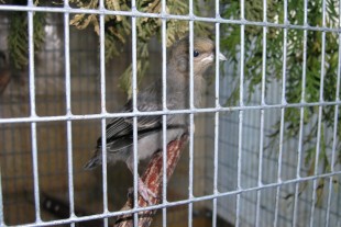 P8010003-1.jpg (353.37 КБ) 9766 просмотров 01.08.2018г.